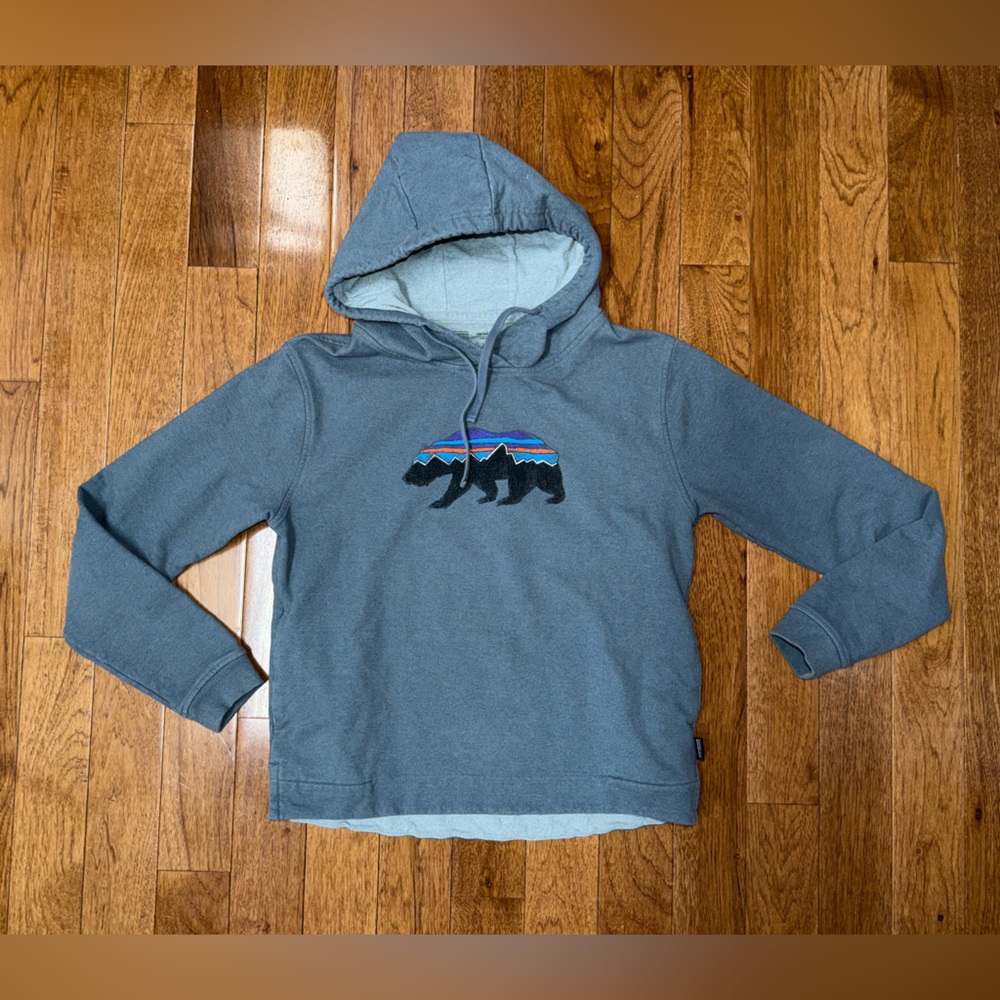 Patagonia Hoodie Womens Medium Uprisal Hoody Fitz Roy Bear Recycled STY39556